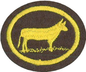 Cattle Husbandry