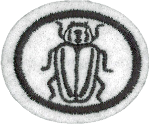 Insects