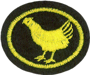 Poultry Raising